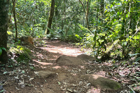Essence of Iguazú: Full-Day Tour of Iguazú Falls (Brazil Side) and São João Trail Essence of Iguaçu: Full Day at Iguaçu Falls, Brazil, and São João Trail