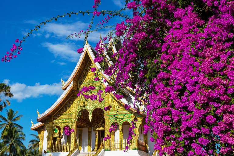 Luang Prabang: Morning Cultural Discovery and Nature Escape