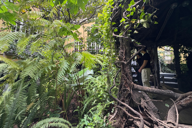 Mexico City: Roma and Condesa Neighborhoods Walking Tour