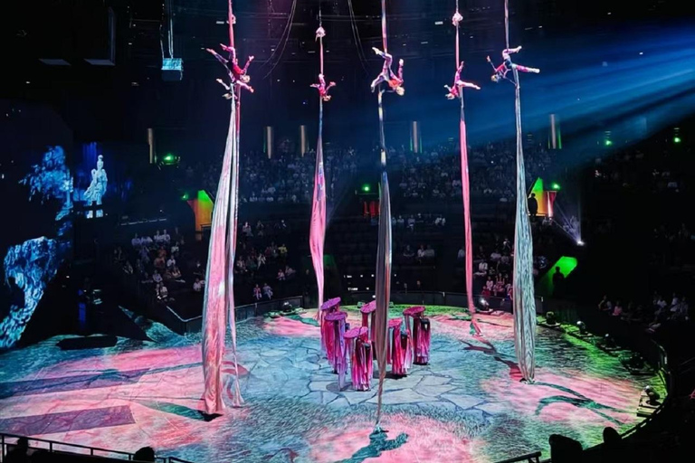 Shanghai: Circus World ERA Theatre Acrobatics Ticket Circus World Acrobatic Ticket: Area B Seat (Value for Money)