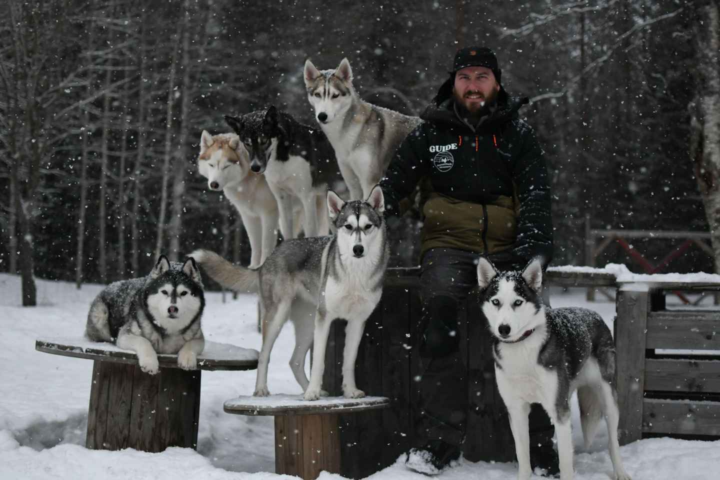 Överkalix - Lapland : Private Husky meeting with Fika
