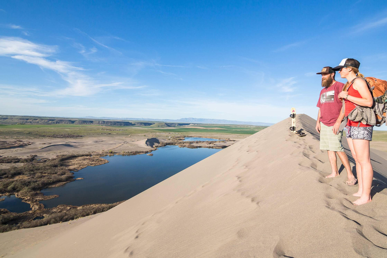 Swakopmund: Namib Desert Coast Adventure Tour