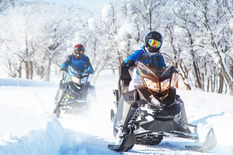 From Batumi: Snowmobile Adventure to Magical Gomarduli