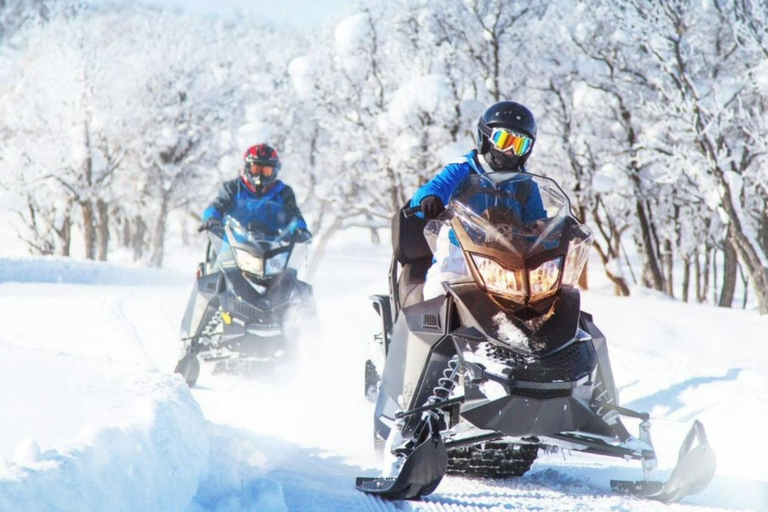 From Batumi: Snowmobile Adventure to Magical Gomarduli