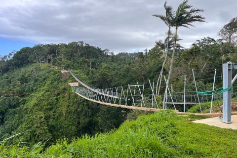 Vanuatu Jungle Canyon Swing