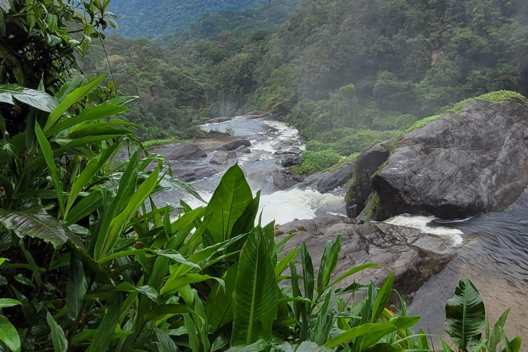 ATLANTIC FOREST TOUR WITH WATERFALLS - THE GOLD TRAIL