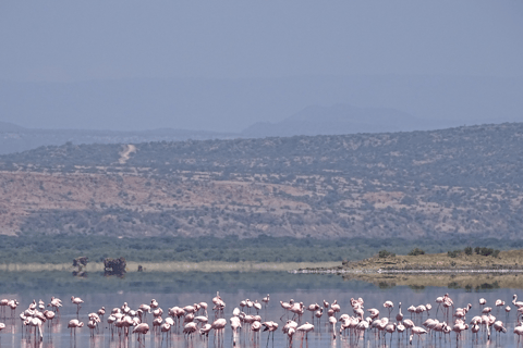 Tanzania: 13-Day Safari & Zanzibar Beach Holiday