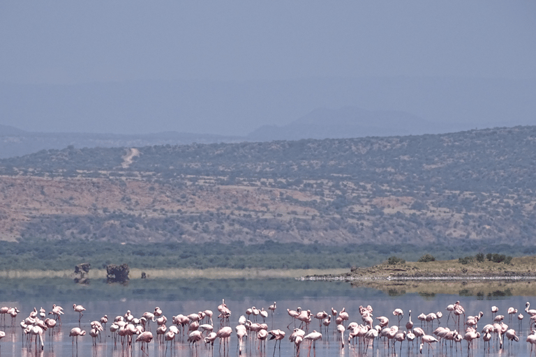 Tanzania: 13-Day Safari & Zanzibar Beach Holiday