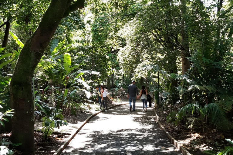 Jardín Botánico y Comuna 4 Medellín City Tour 5H