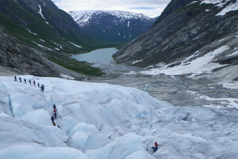 Nigards: Kajakfahren und Gletscherwanderung