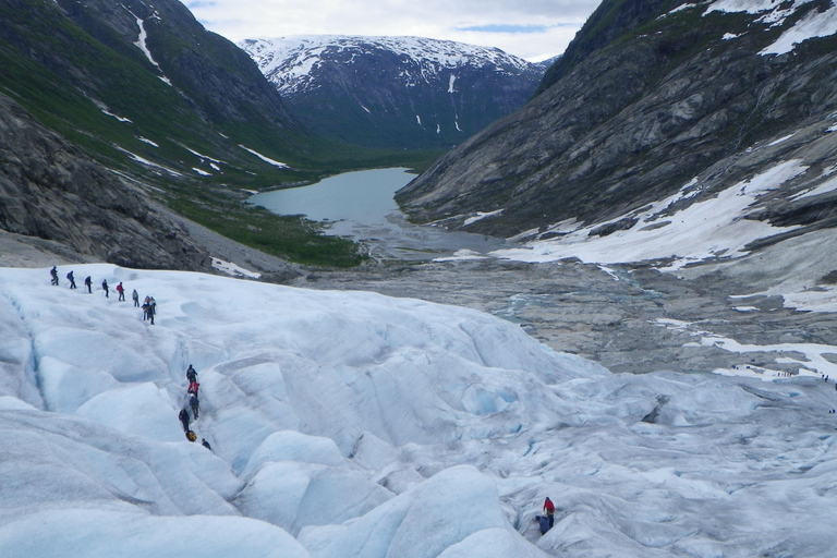Nigards: Kajakfahren und Gletscherwanderung