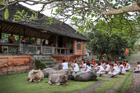 Sidemen : Villages traditionnels, ferme de sel et visite de Tirta Gangga