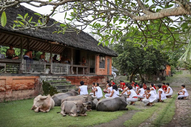 Sidemen: Aldeias Tradicionais, Fazenda de Sal e Excursão Tirta Gangga