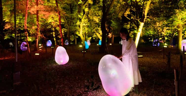 Osaka: teamLab Botanical Garden Entry Ticket photo 2