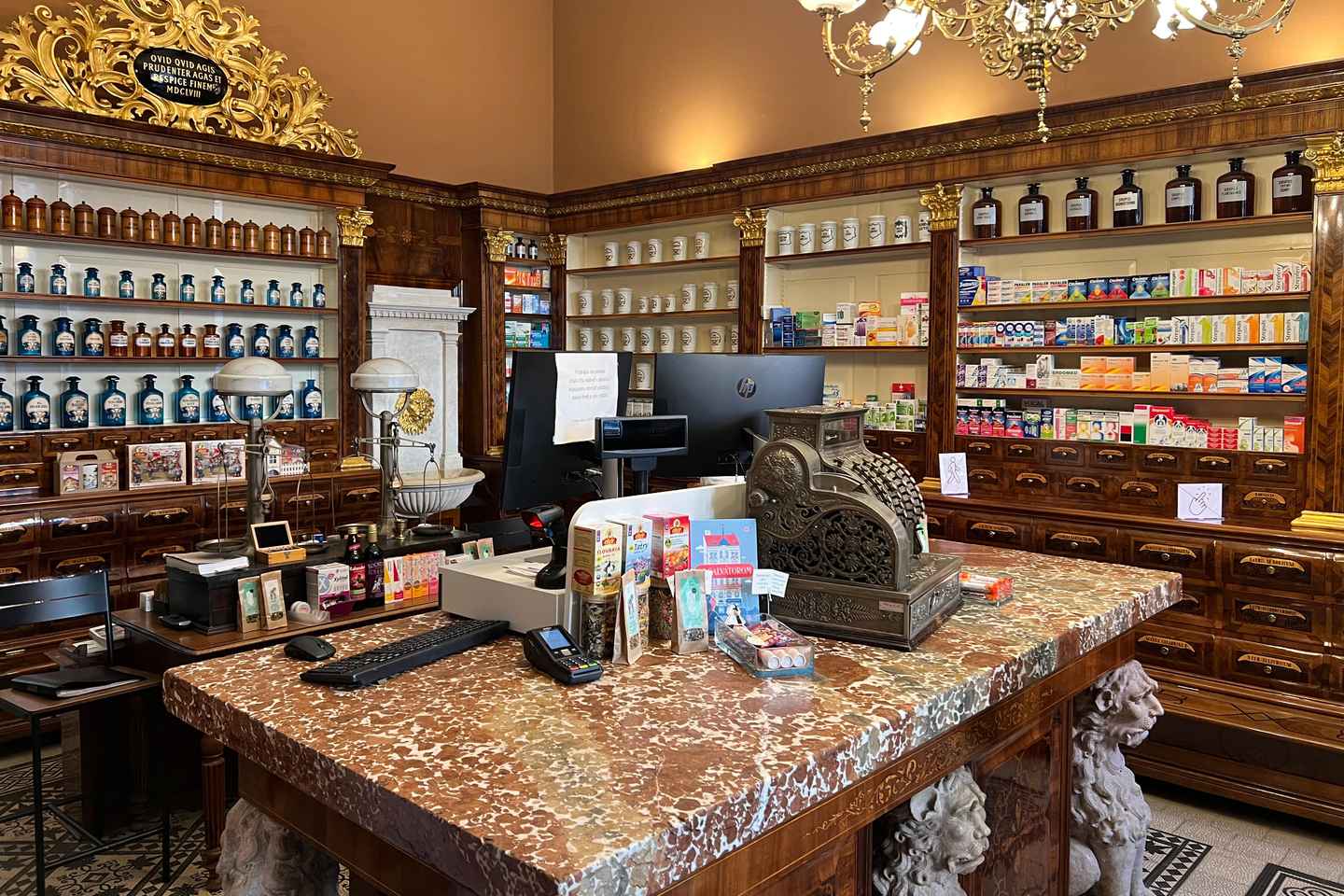 From Vienna: Bratislava City Highlights Day Trip