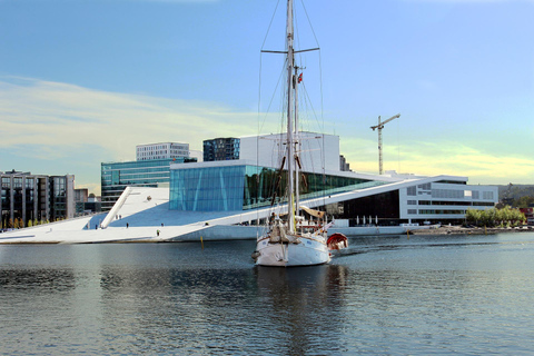 Oslo: Tour privado de arquitectura con un experto local