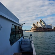 Sydney: Crociera nel porto con pranzo a buffet