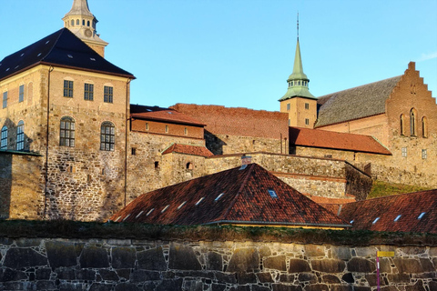 Oslo: Private Fortress, Fjord, and Royal Heritage Tour