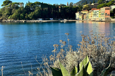 Portofino and Santa Margherita from Genoa with local driver