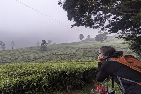 Bandung: Tour del vulcano Tangkuban Parahu e delle aree circostanti