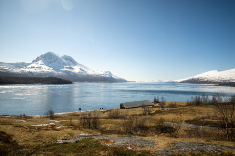 Tromsø: Fjord Adventure with Lunch and Photos Tromsø: Fjord Minibus Tour with Lunch and Free Photos