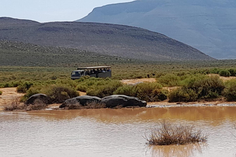 Safari au coucher du soleil dans la réserve de chasse d&#039;Aquila avec transport privé