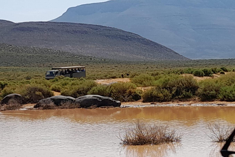 Safari ao pôr do sol na Aquila Game Reserve com transporte privado