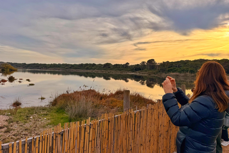 Albufera de Valencia: Mediterranean Forest and Sailing on the Albujaira
