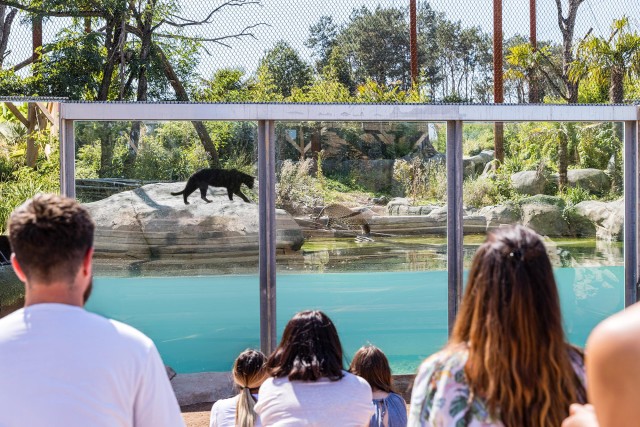 Visit Chessy Parrot World Immersive Animal Park Day Pass in Meaux
