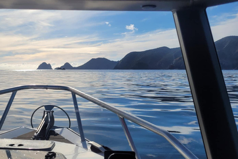 Paihia: Glass Bottom Boat Tour to the Hole in the Rock