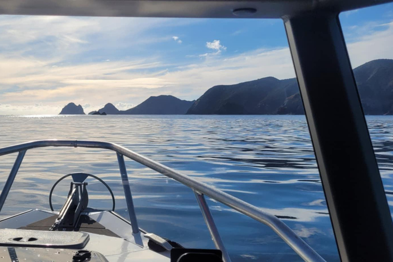 Paihia: Glass Bottom Boat Tour to the Hole in the Rock