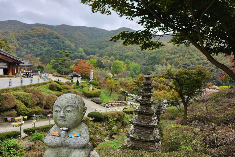 Amazing Gyeonggi: Private Tour with Driver and Premium Van