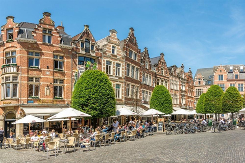 Historical Leuven: Private Tour with Local Guide English tour