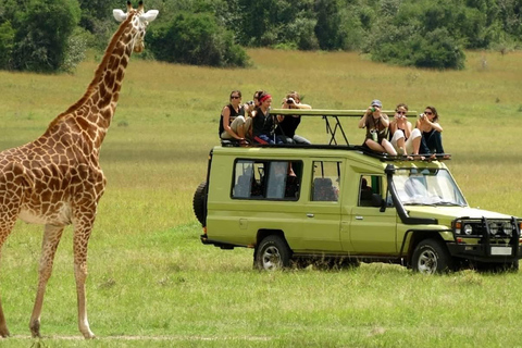 From Nairobi: Masai Mara 3-day Camping Safari by Jeep