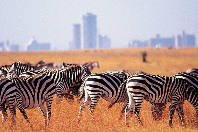 Nairobi: Park Narodowy Nairobi, przejażdżka samochodem i centrum żyraf.