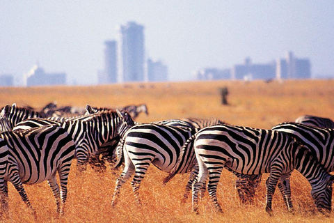 Visita guiada al Parque Nacional de Nairobi y al Centro de la Jirafa