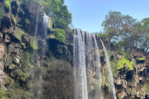 Salalah: Wadi Darbat, ,Cueva de Teeq - Excursión a los árboles Baobou