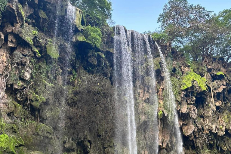 Salalah : Wadi Darbat, grotte de Teeq - visite des arbres Baobou