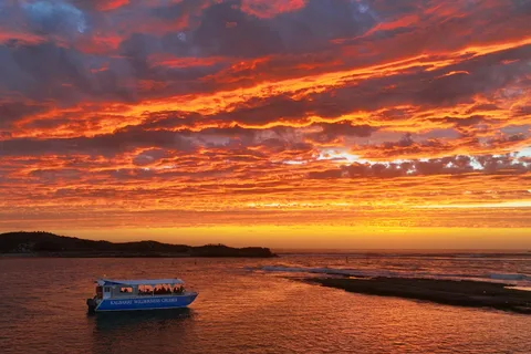 Kalbarri: Murchison River Wilderness Wildlife Cruise