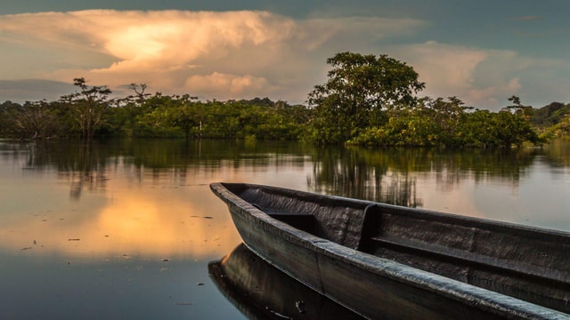 From Iquitos: Amazonas 4 Days 3 Nights
