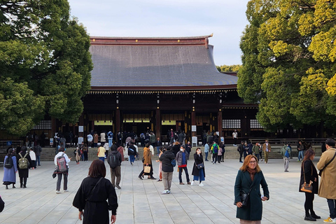 Tour privato di un giorno dei luoghi più famosi di TokyoTour privato di un giorno dei luoghi famosi di Tokyo