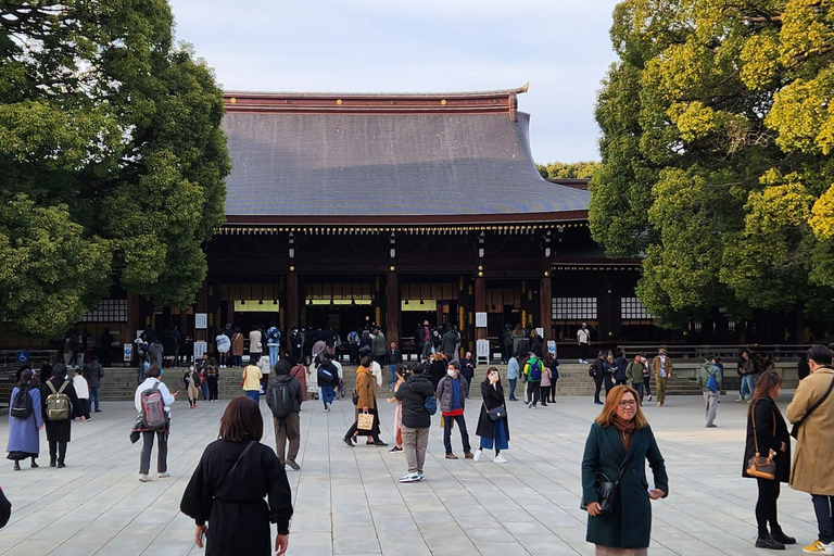 Tour privado de un día por los lugares famosos de TokioVisita Privada de un Día a los Lugares Famosos de Tokio