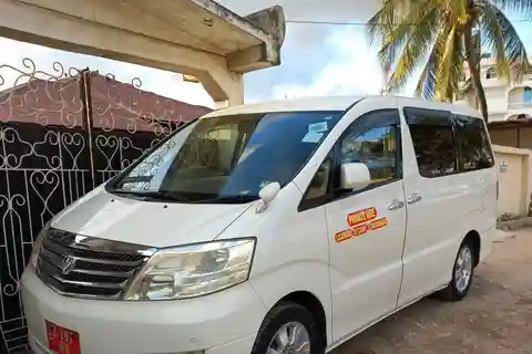 Zanzibar Island: Private Airport to Hotel Transfer
