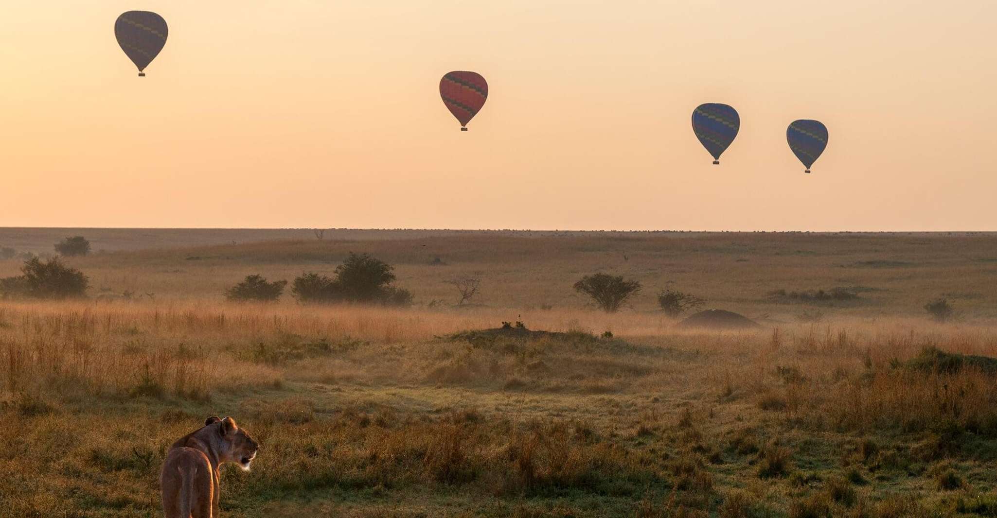 3 Days private Safari to Maasai Mara Reserve - Housity