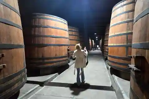 Tour Premium de Vinhos + 7 degustações + Lápis-lazúli + Van particular