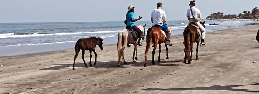 Serekunda : équitation et déjeuner à la ferme avec des plats locaux