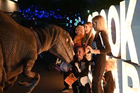 Phoenix Zoo Admission Ticket with ZooLights Option Phoenix ZooLights Entry Ticket