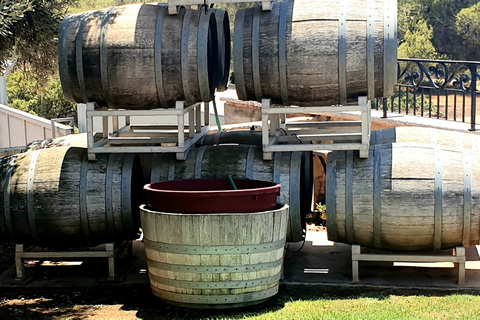 Wine private tour of Central Israel