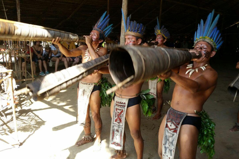 Tour del campeggio amazzonico di Manaus Rio Negro - tour di 4 giorni