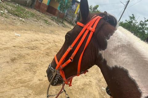 Palenque: Eco-Tour privato a cavallo con pranzo